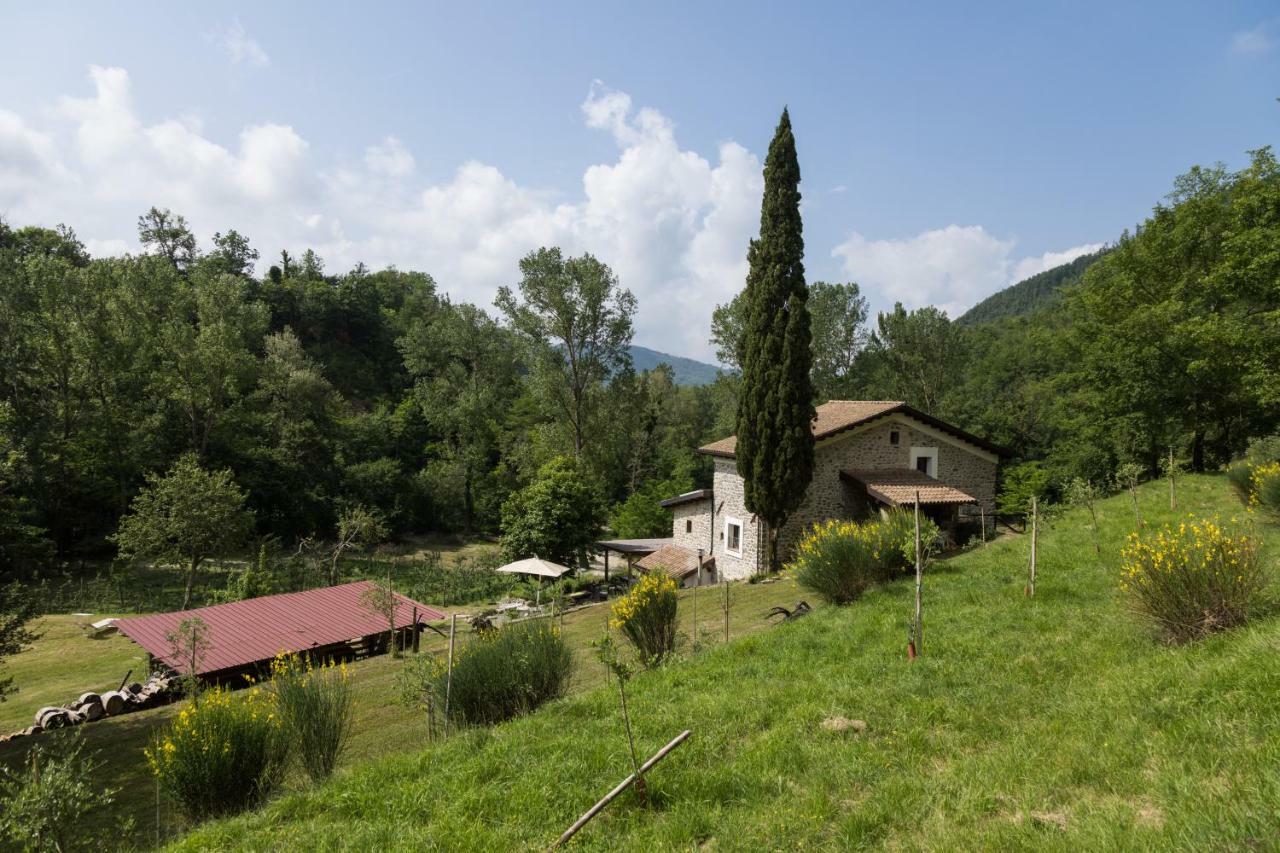 Agriturismo Di La Dall'Acqua Fivizzano Exterior foto