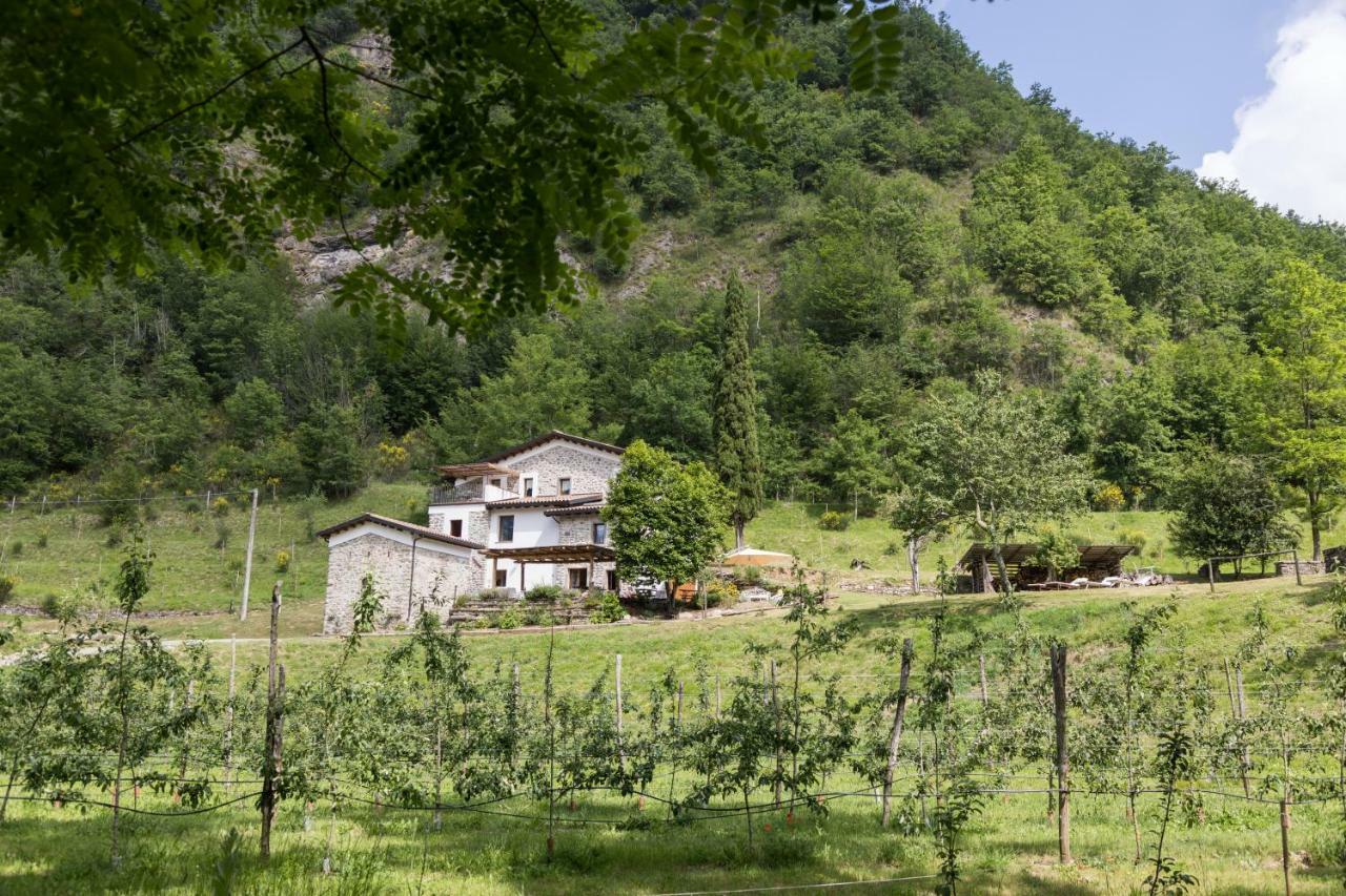 Agriturismo Di La Dall'Acqua Fivizzano Exterior foto